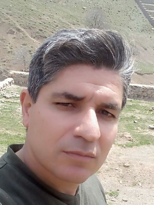 علی شکری
