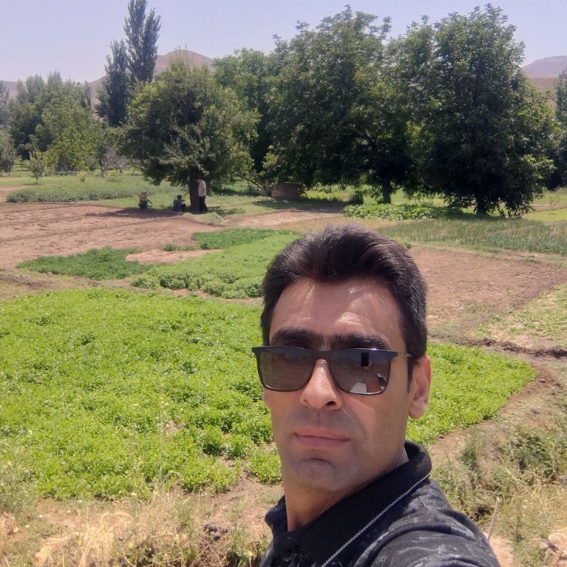 وحید پرویز