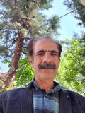 علی صفر سیاوشی