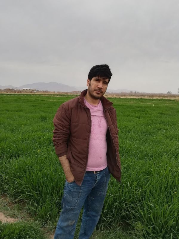 provider user card avatar