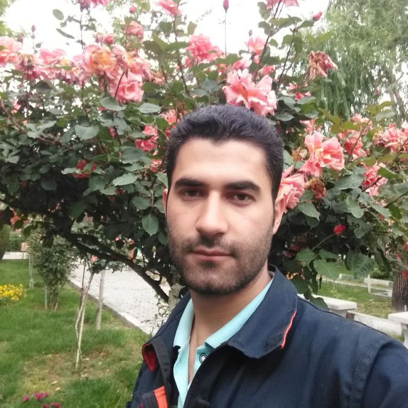 مجید حسین زاده