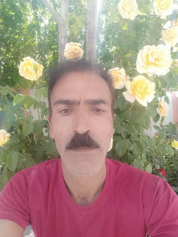 قاسم رفیعی