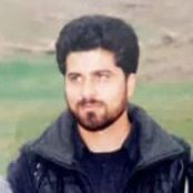 رضا دهقانی