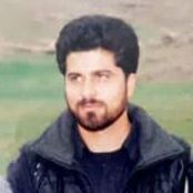 رضا دهقانی