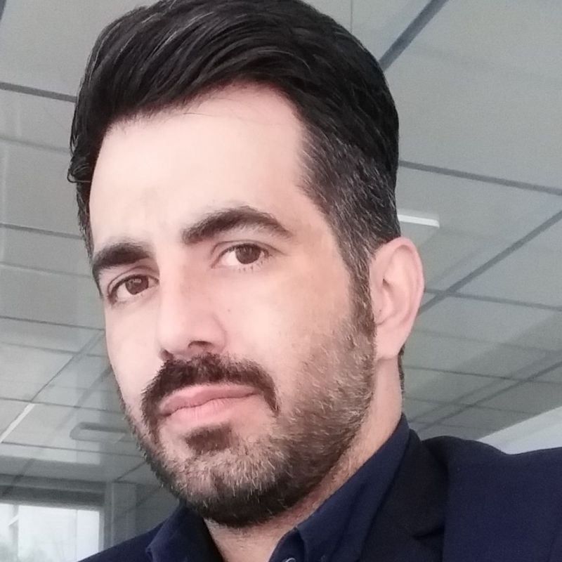 رضا معین