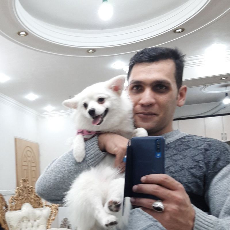 حمیدرضا همت