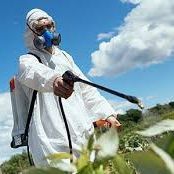 شرکت مبتکران خدمات رسانی یکتا