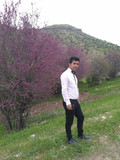 علی مرادیان