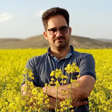 مجید نوروزی
