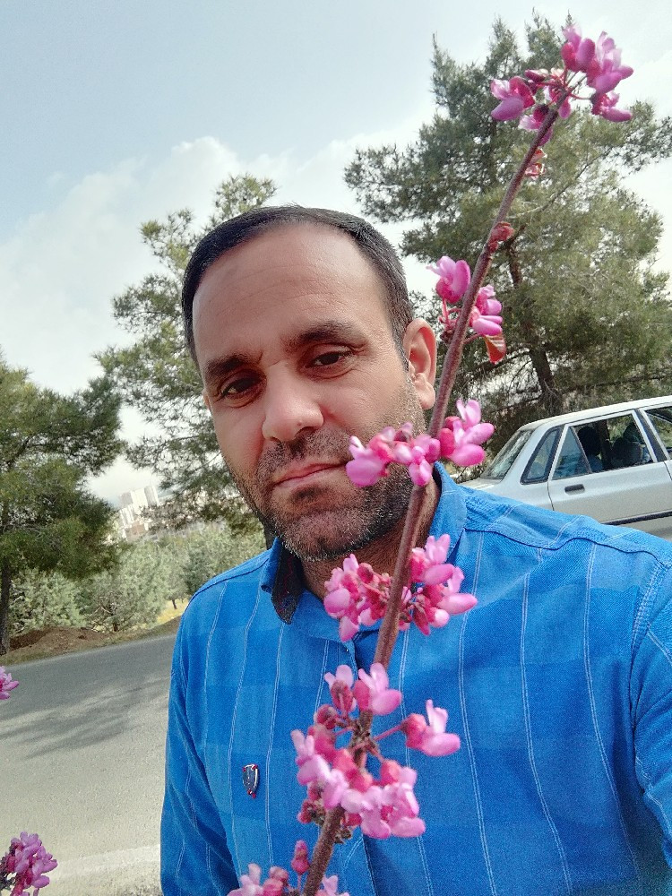 محمد محمدی