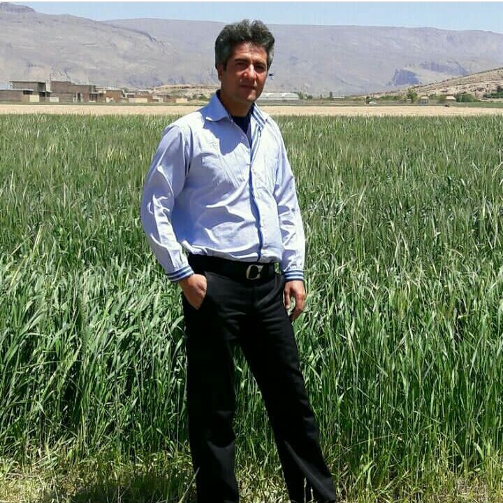 مریم حیدری
