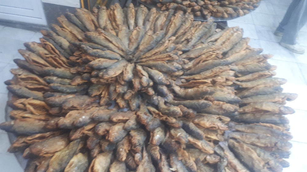 محسن خیبری