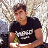 محمد کرد