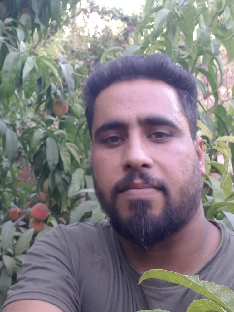 علی اصغر منصف
