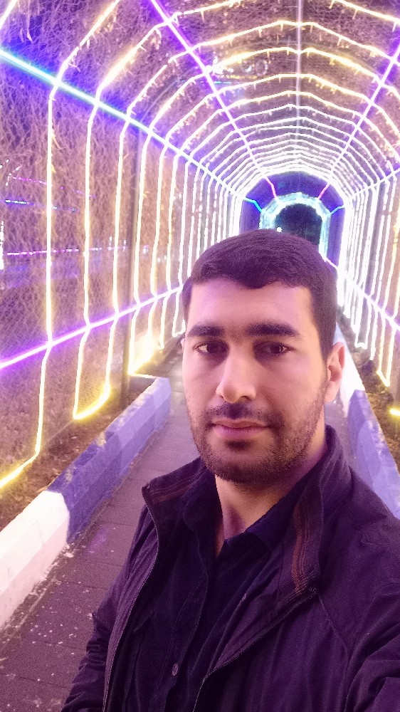 امیر محمد علیپور
