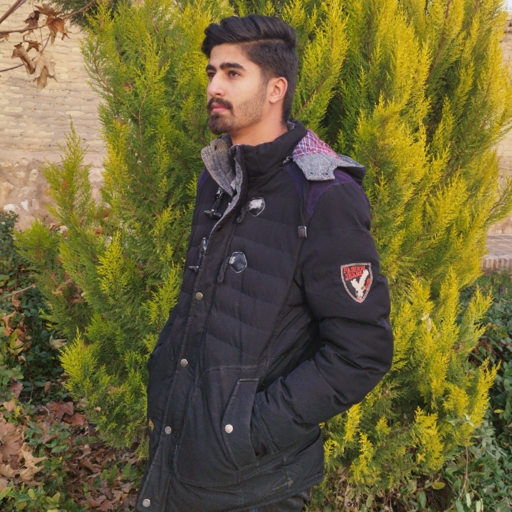 محمدعلی هوشمند