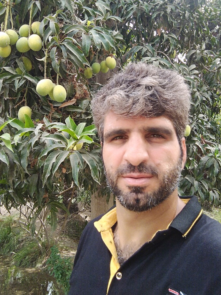 مصطفی خانجانی