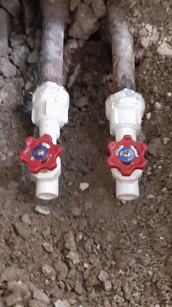 علیرضا کوشکی