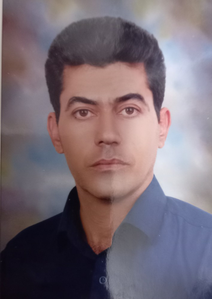 محمد جواد زارعی
