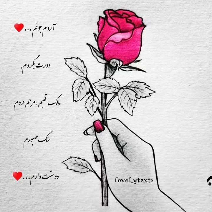 عیس یارمحمدی
