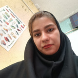 زینب غلام نیا