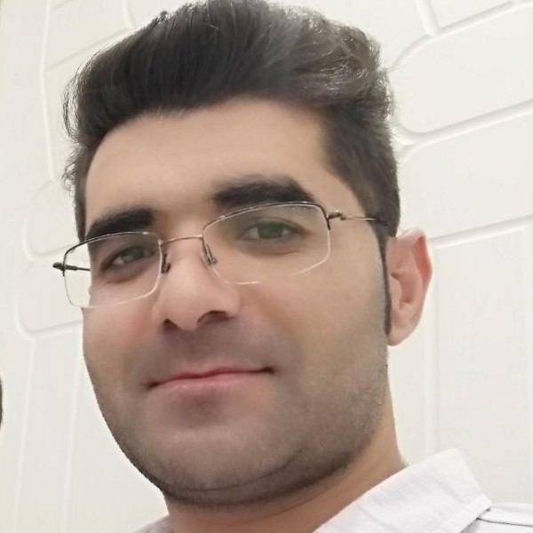 سید حسن کراری