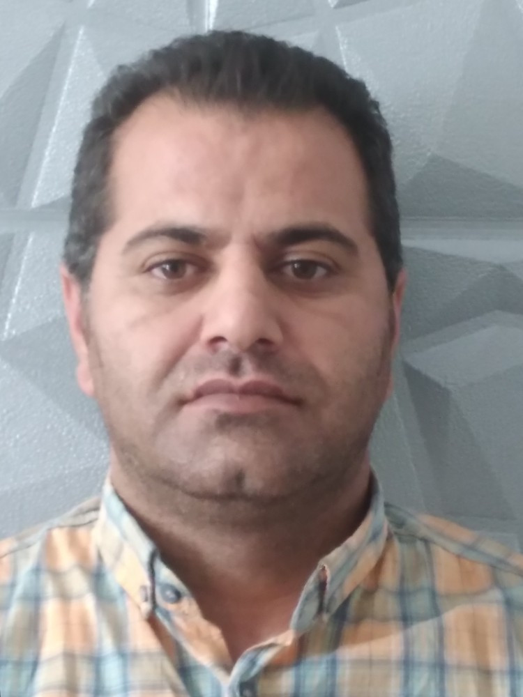 هادی یاری