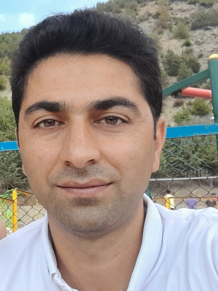 مرتضی محسنی