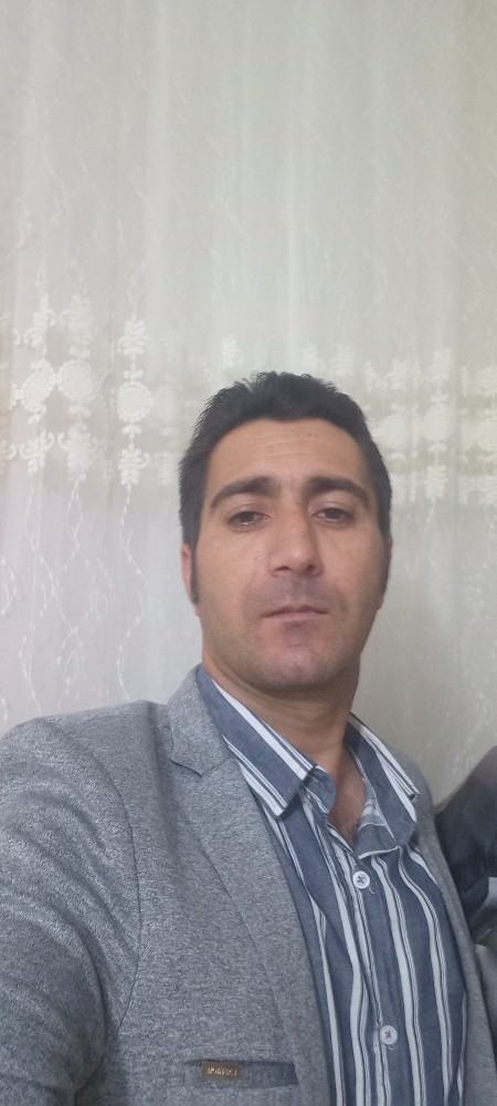 سیدعلی سیدمحمدی شیخلار