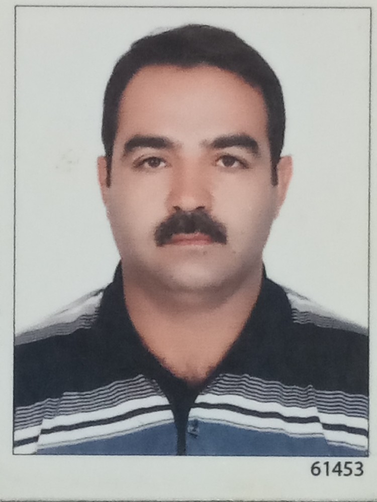 محمود نجاتی