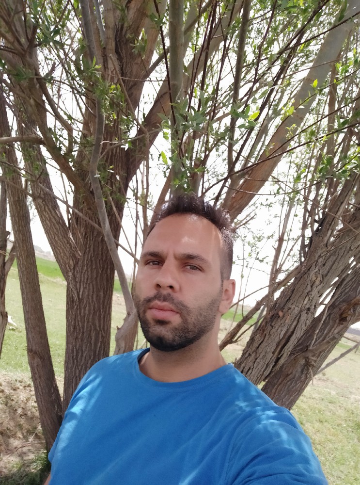 مجتبی حبیبی