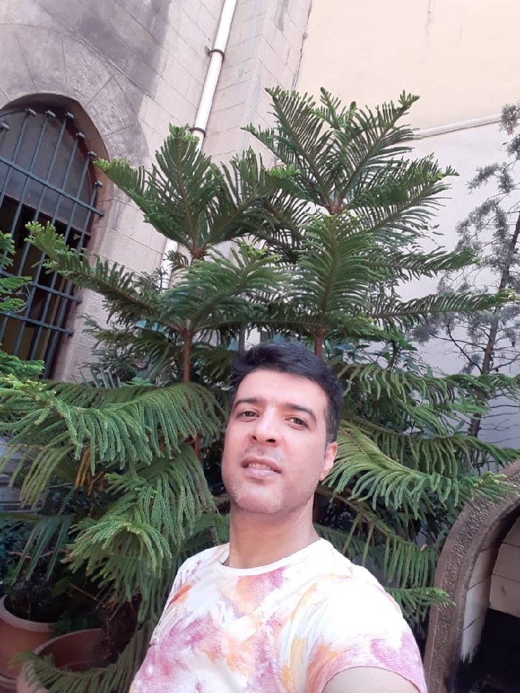 provider user card avatar