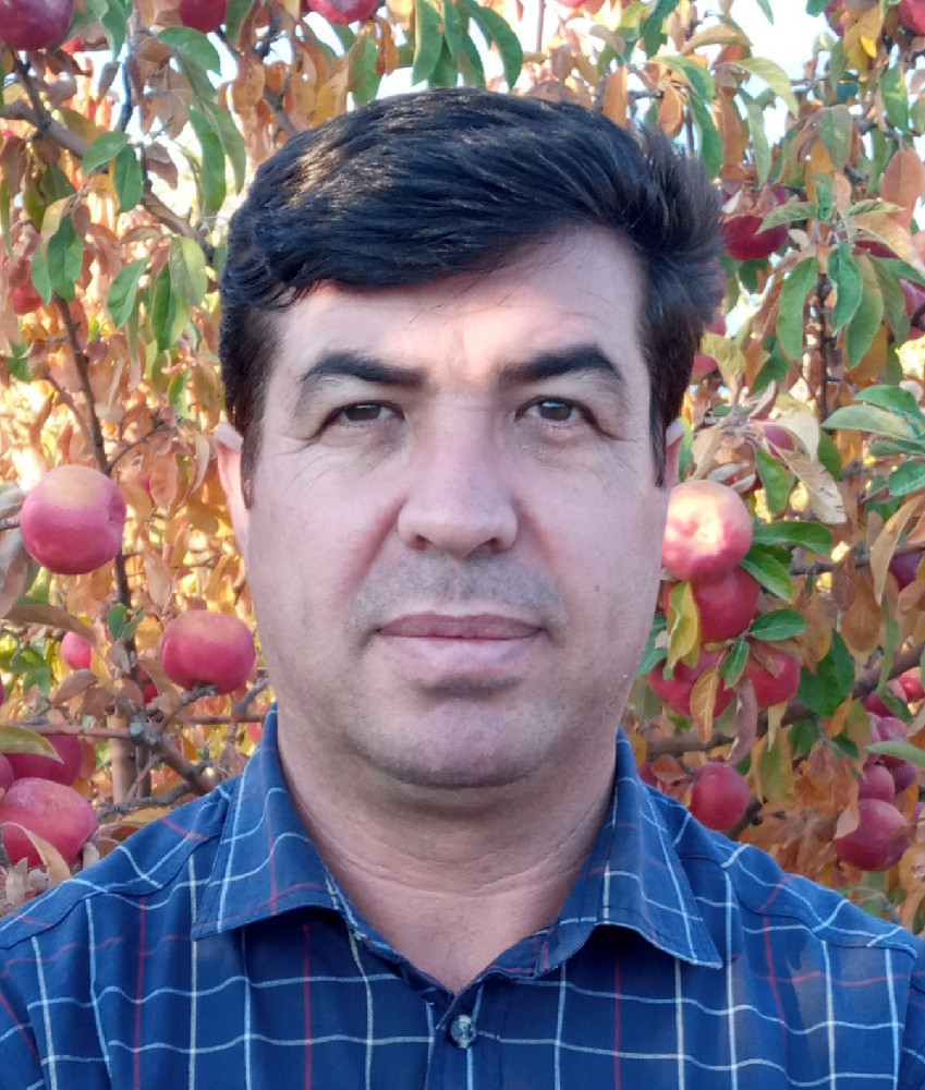 فرهاد امیری
