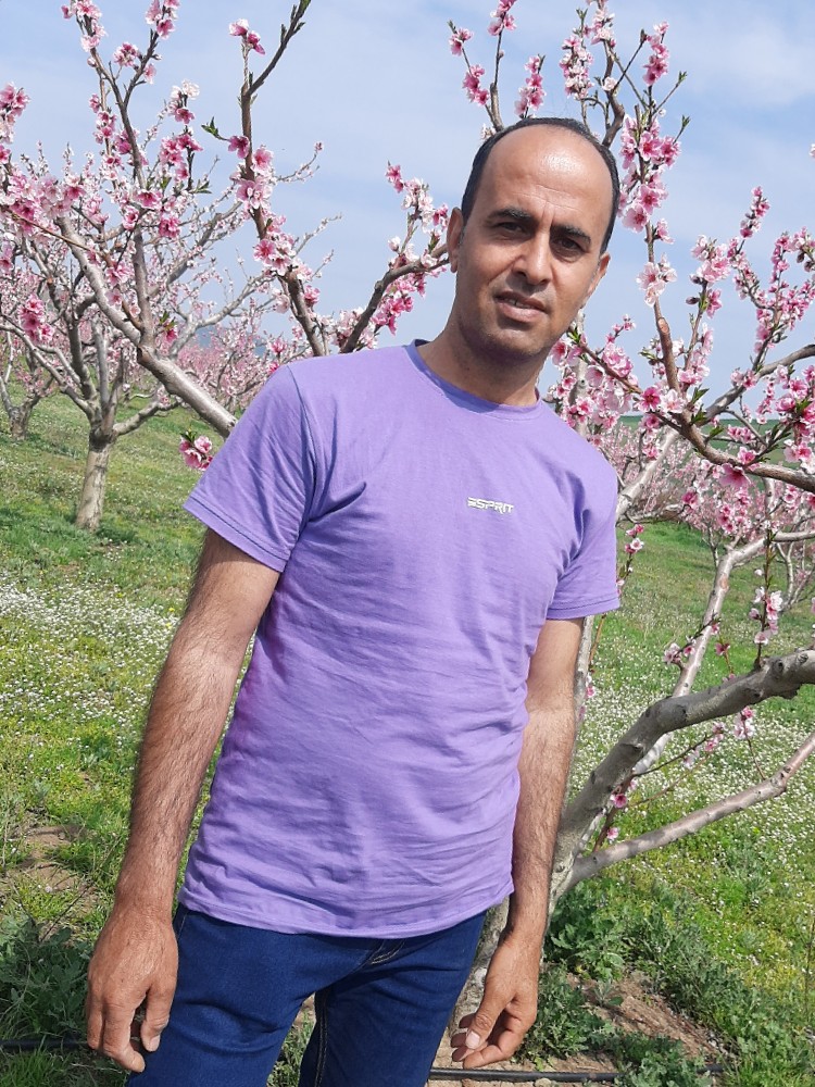 داور علیزاده