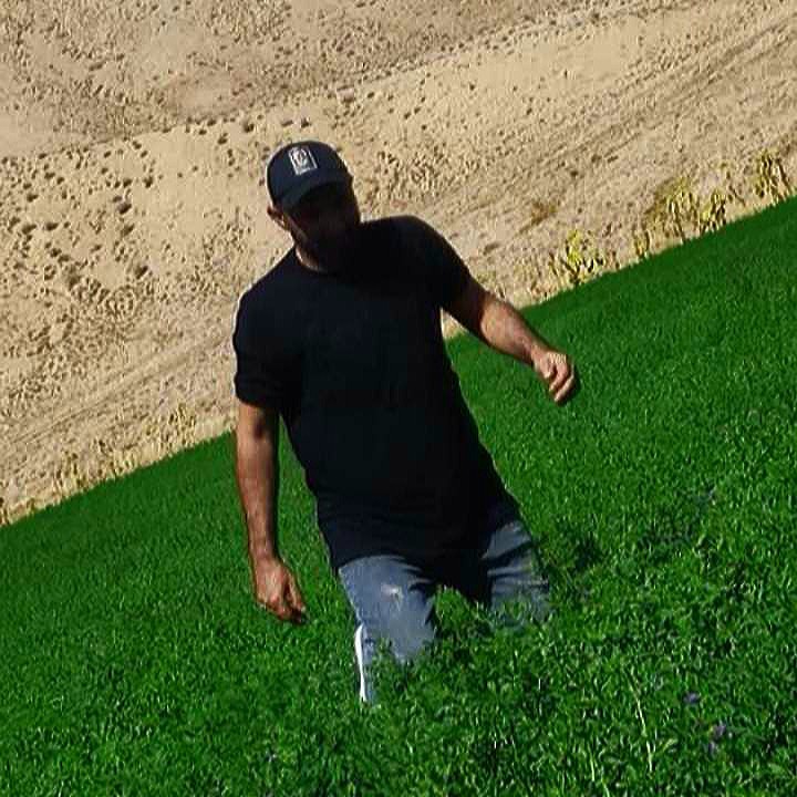 محمود شاکری