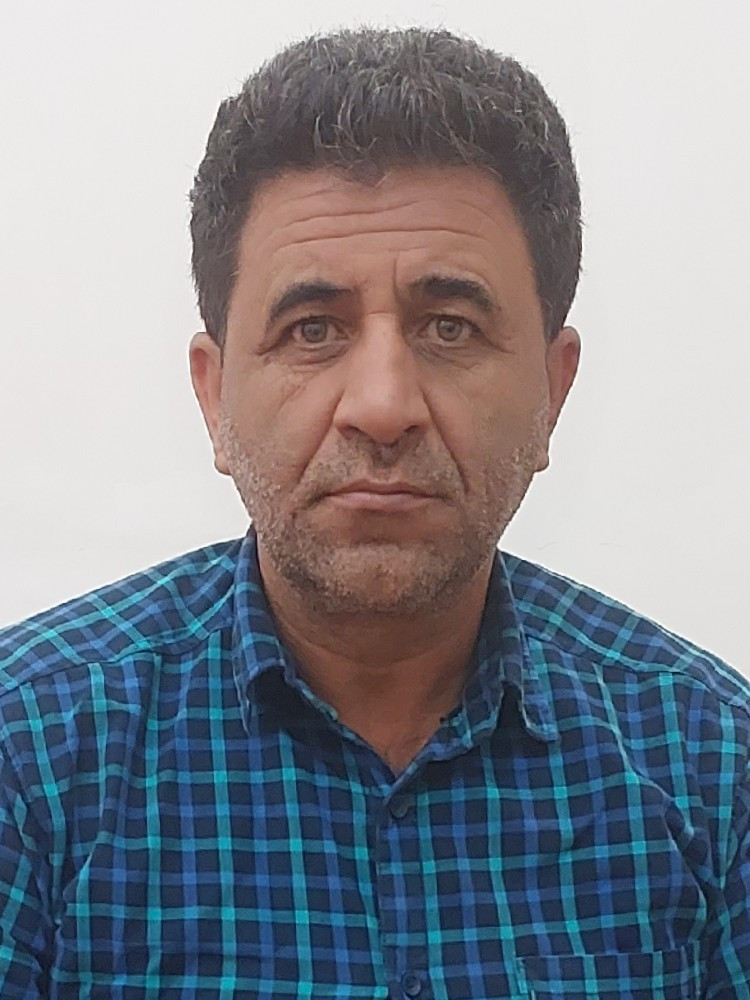 شیران آتش
