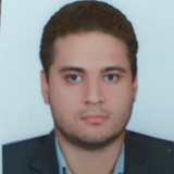 امیر محمد حشمتی