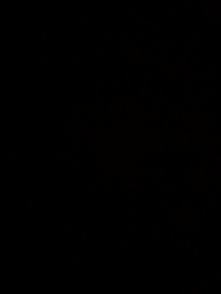 رمضان ابراهیم پور علیخان قلعه