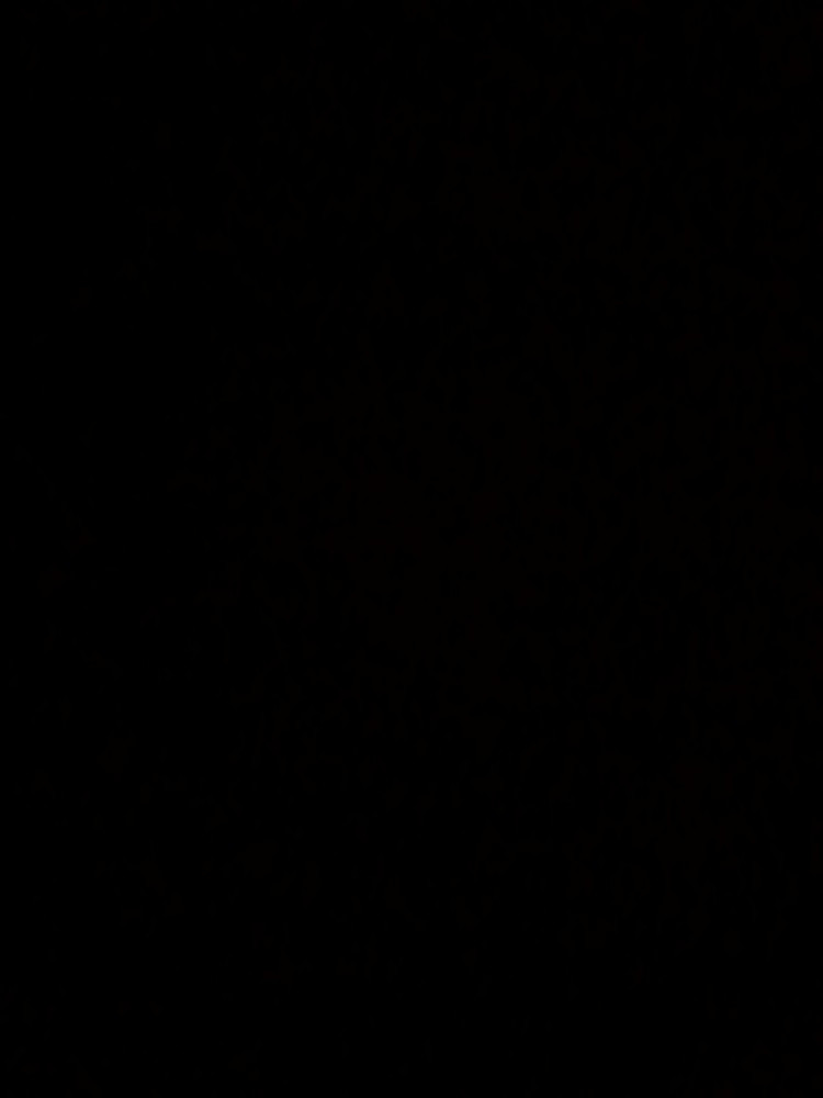 رمضان ابراهیم پور علیخان قلعه