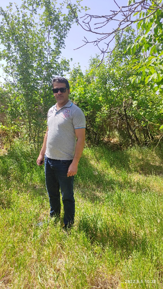 محمد ارویی