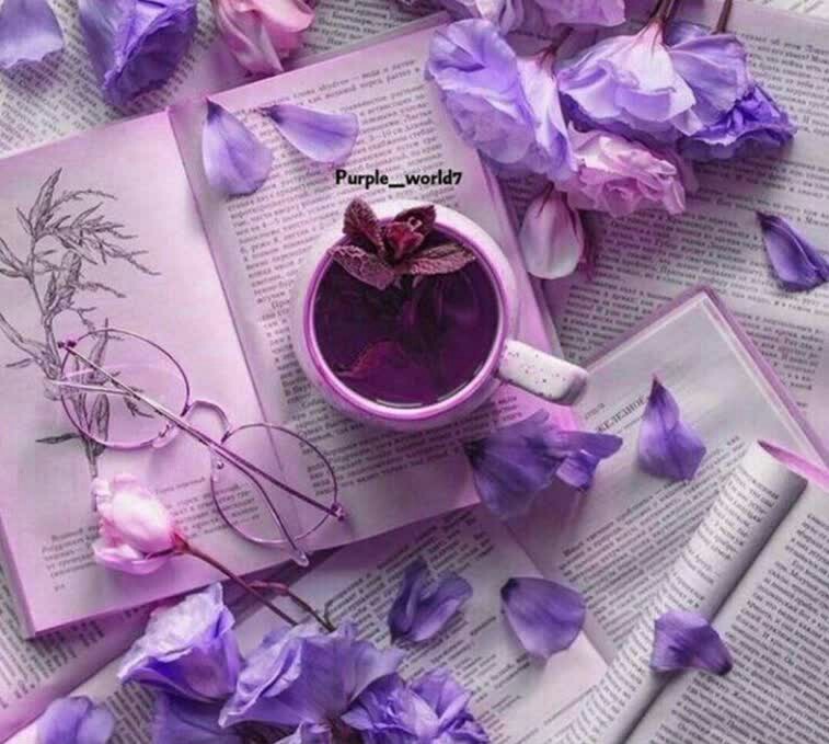 مریم قربانی