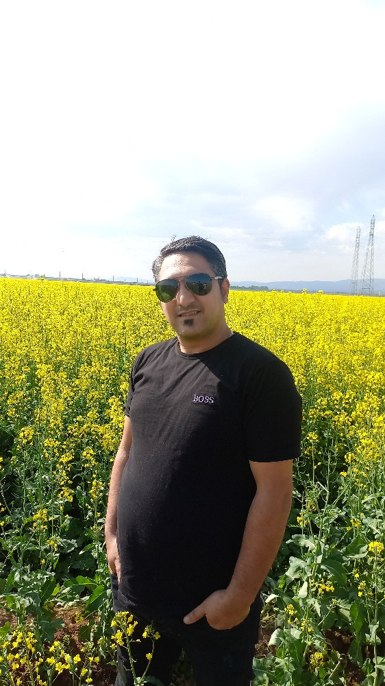 محمد حامدی