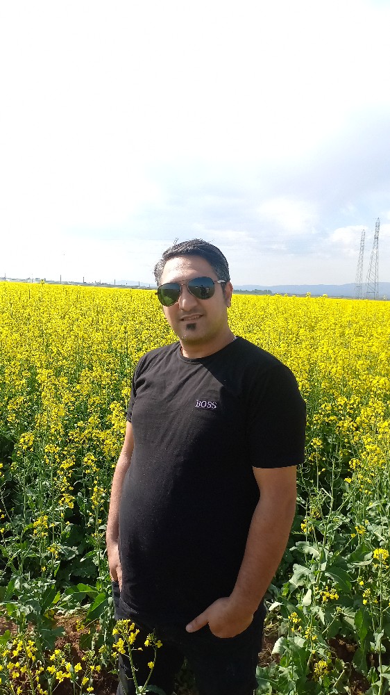 محمد حامدی