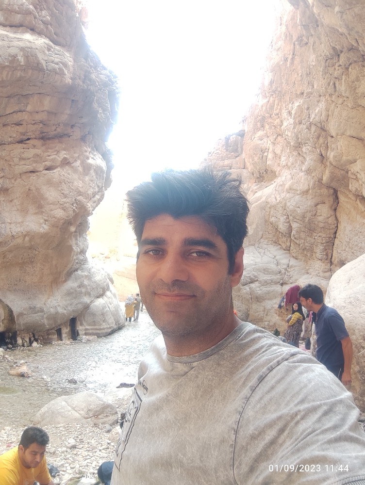 هادی زمانی
