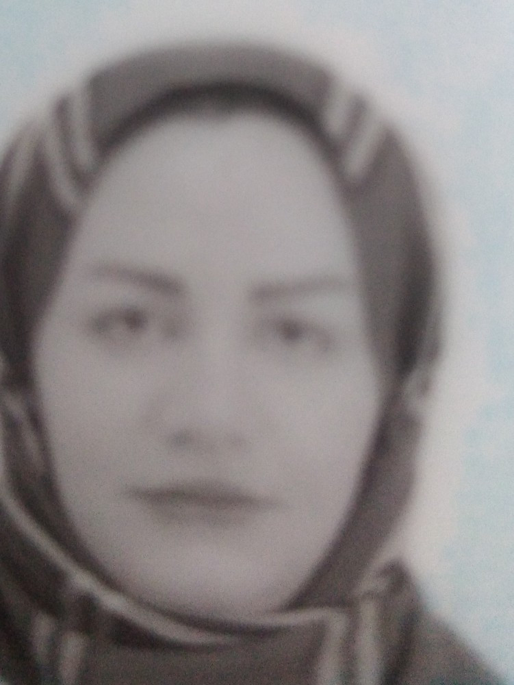 نیلوفر نوری