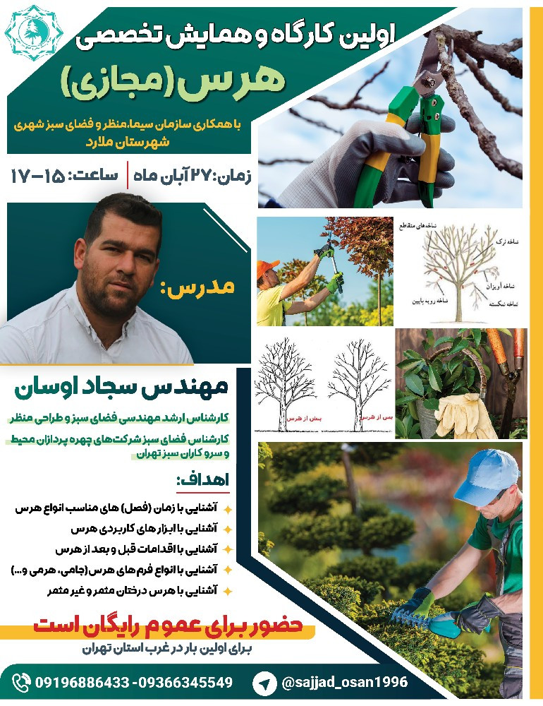 سجاد اوسان