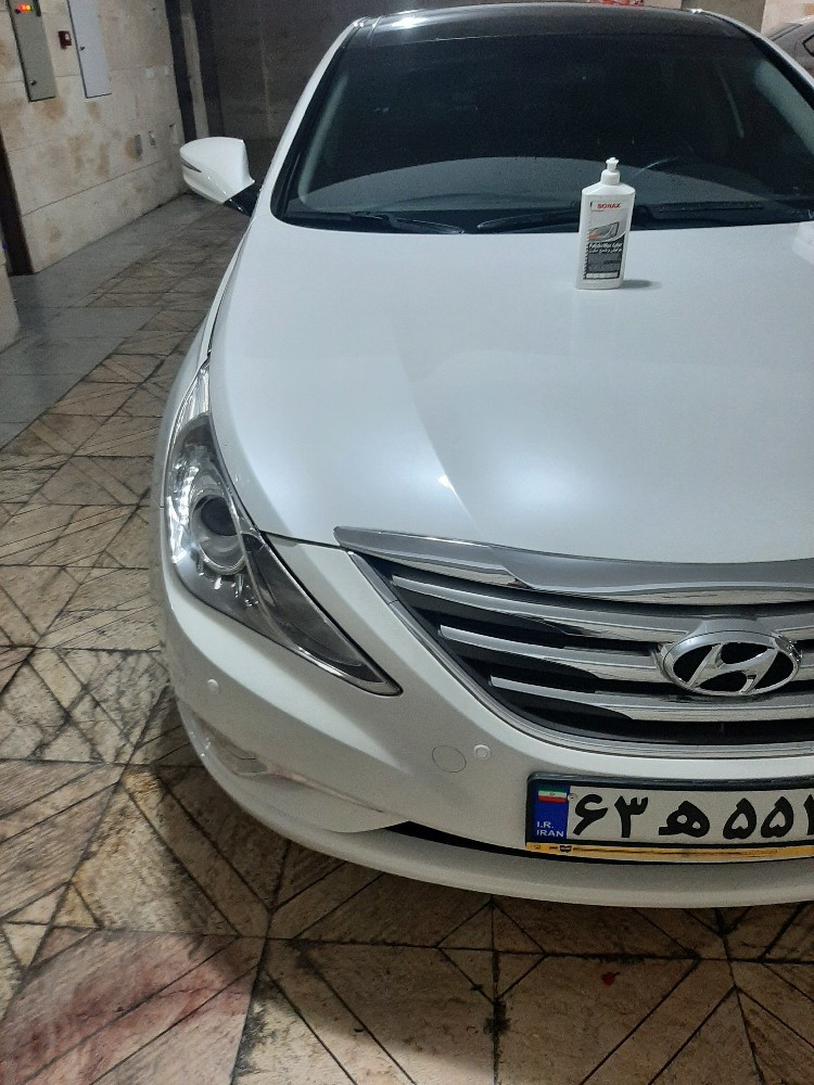 سعید مولوی