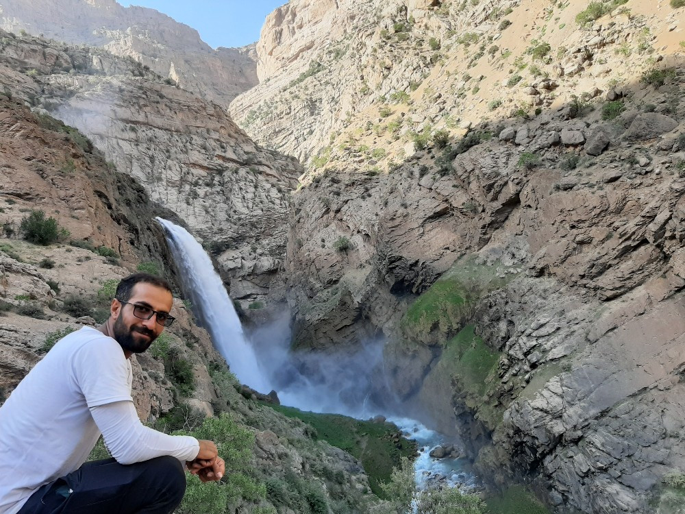 سید مصطفی هاشمی
