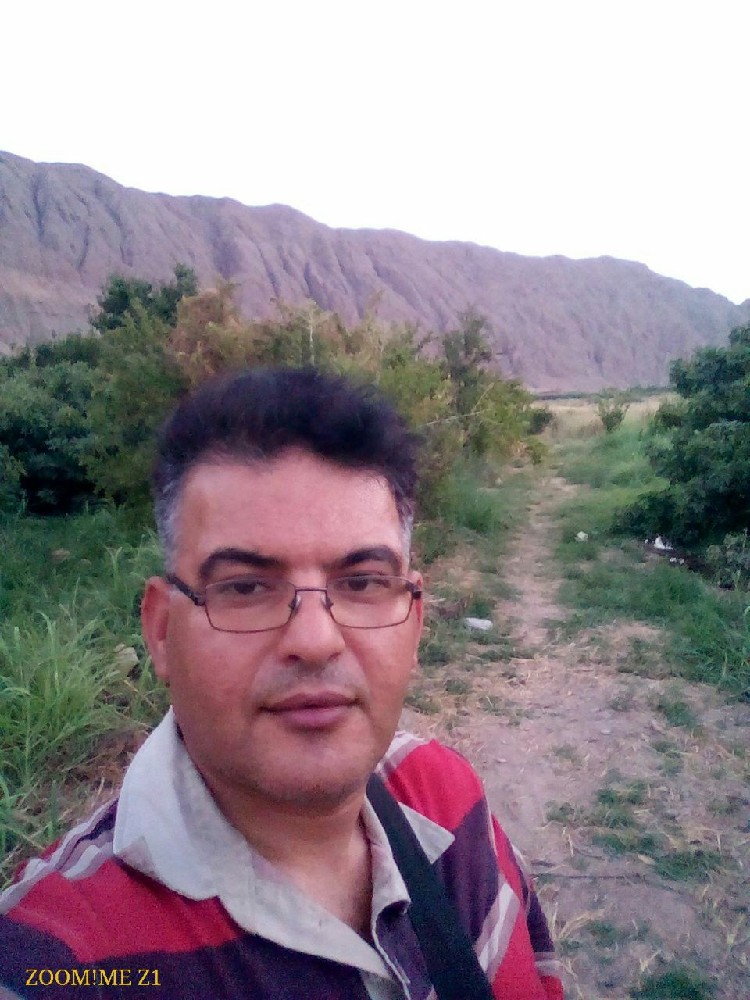 حمید محمدیان