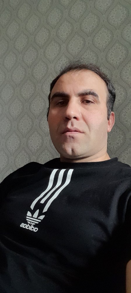 انور ولایی